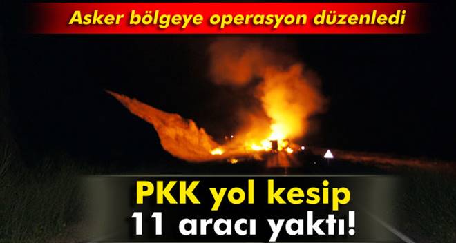 PKK Yol Kesip, Araç Yaktı