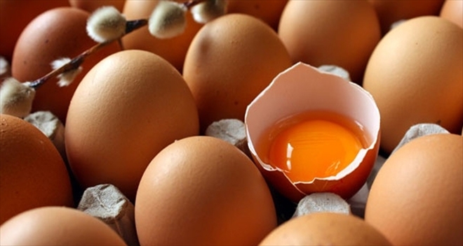 Tavuk Yumurtası Üretimi, 2015 Yılında Azaldı
