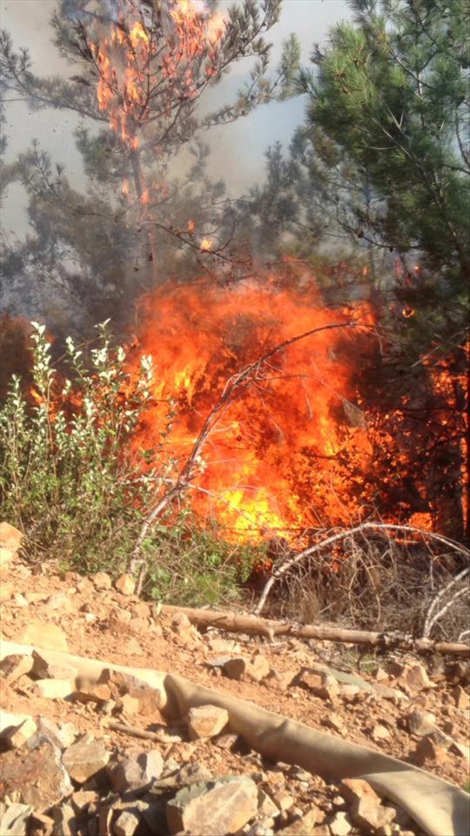 Kozan´da çıkan orman yangınında 10 hektarlık alan zarar gördü