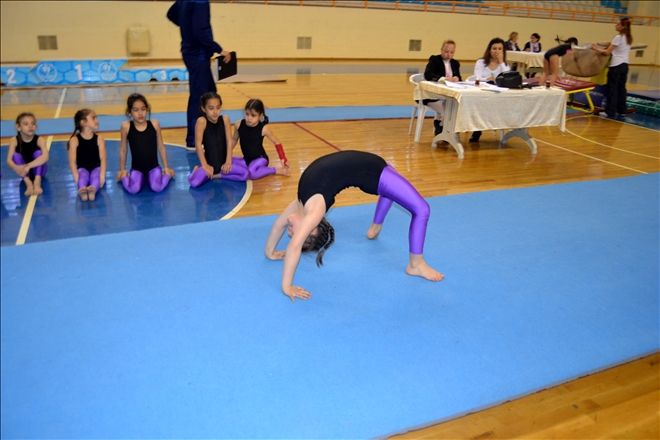 Okullar arası Artistik Cimnastik İl Birinciliği Yapıldı