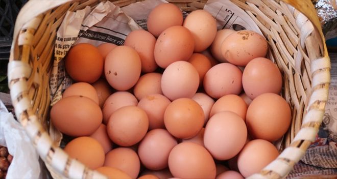 Tavuk yumurtası üretimi düştü