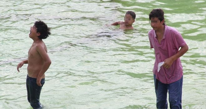 Süs havuzundaki çocukların kavgası