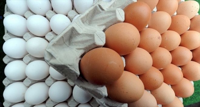 Avrupa ülkelerinde zehirli yumurta skandalı
