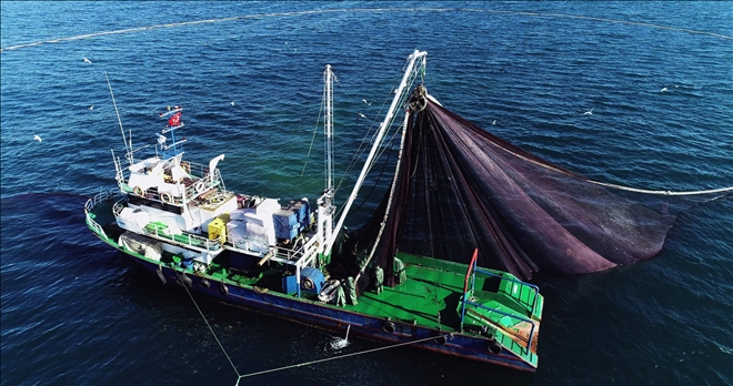 Doğu Karadenizli balıkçılar hamsiyi Batı Karadeniz´de arıyor