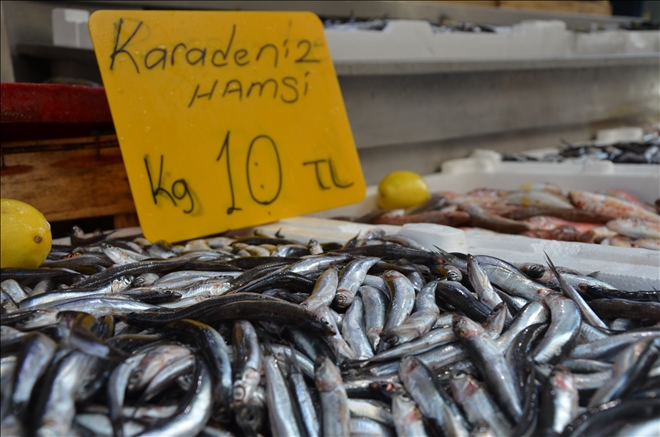 Balıkçılar uyardı: Hamsi fiyatı yükselişe geçebilir