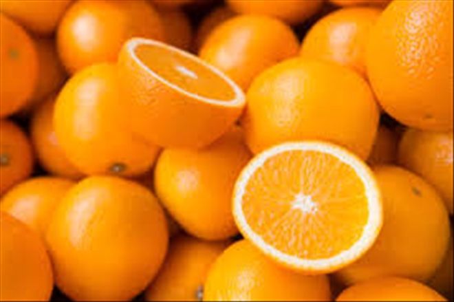 Adana´dan Mehmetçiğe 60 ton portakal