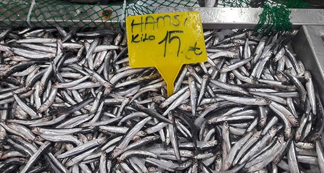 Kar yağsa da, balık fiyatları düşmüyor