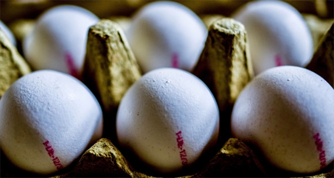 Yumurtada, AB uygulamalarına uyum sağlanıyor