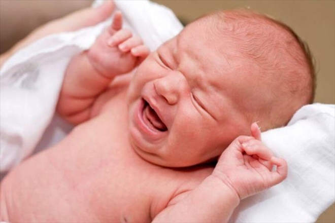 Canlı doğan bebek sayısı 1 milyon 291 bin 55 oldu