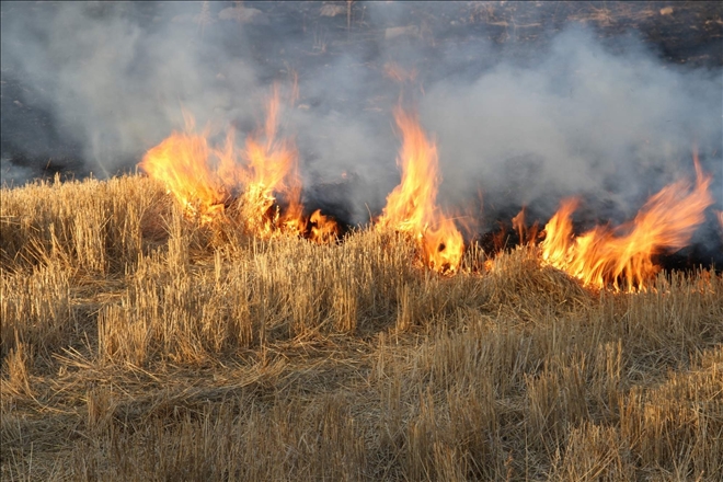 Anız yangınları toprağın verimliliğini azaltıyor 