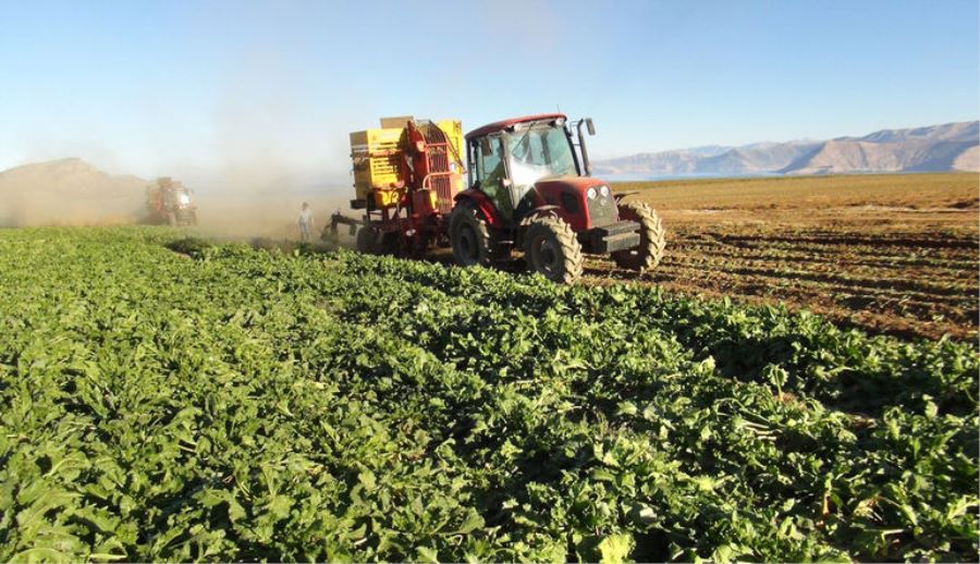 Tarım- ÜFE Eylül ayında yüzde 1,59 arttı