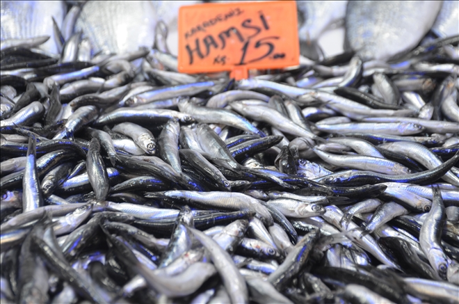 Balık fiyatları yükselişe geçti