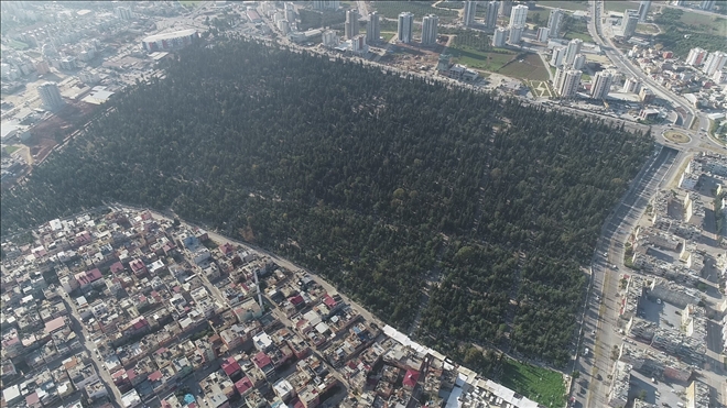 Mersin kent merkezinin en yeşil alanı şehir mezarlığı
