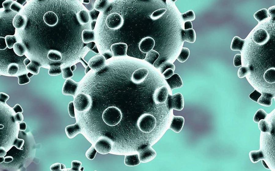Koronavirüse Karşı Bağışıklık Sisteminizi Güçlendirin!