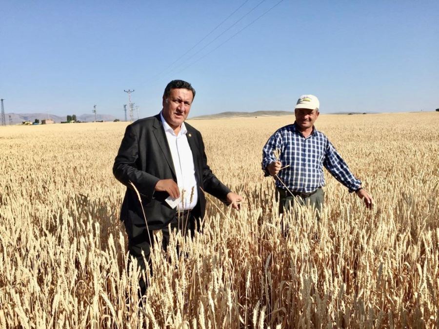 Gürer: “TMO 15 Eylül’de  500 bin ton daha buğday ithal ediyor”