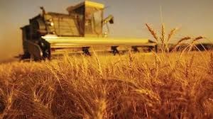 Tarım ürünleri üretici fiyat endeksi (Tarım-ÜFE) yıllık %71,52 arttı, aylık %2,32 azaldı