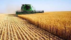 Tarım ürünleri üretici fiyat endeksi (Tarım-ÜFE) yıllık %50,79, aylık %2,14 arttı