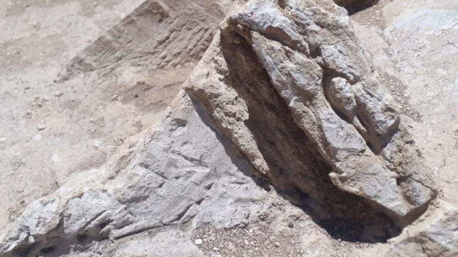 Akbelen Kömür Ocağında Arkeolojik Kalıntılar Bulundu