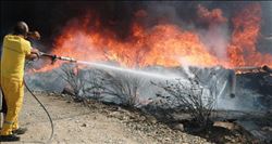 Bodrum alevlere yenik düştü