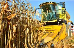  GİRMEN: “MISIR ÜRETİCİSİ KİLO BAŞINA 50 KURUŞ ZARARDA”