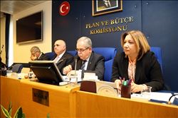  PLAN VE BÜTÇE GÖRÜŞMELERİ´NDE ´SAYIŞTAY´ TARTIŞMASI