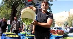 Zeytin fiyatını 2´ye katladı.  