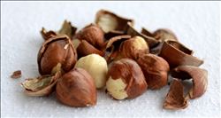 Fındık fiyatları düşüşte