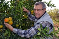 Üreticilere don uyarısı 