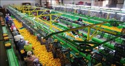 Rusya´ya narenciye ihracatı başladı