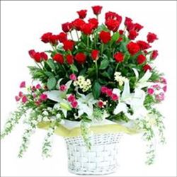 9 Aralık´ta “Çiçek Kent Adana” fotoğraf sergisi açılıyor.