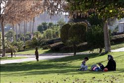 ADANA´DA SON 66 YILIN EN SICAK ŞUBATI YAŞANIYOR 