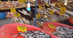 Balık Tezgahında Yüzler Gülüyor