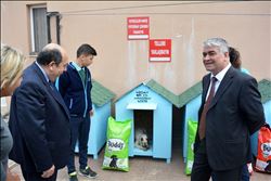 LİSE ÖĞRENCİLERİNDEN KÖPEK KULÜBESİ