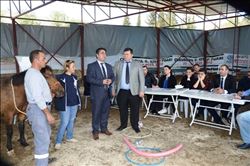 Yılkı Atları İle Engelli Çocuklara Terapi İçin Personel Eğitiliyor