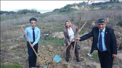 ÇUKUROVA KAYMAKAMLIĞI HİZMET BİNASI BAHÇESİNE AĞAÇ DİKİLDİ