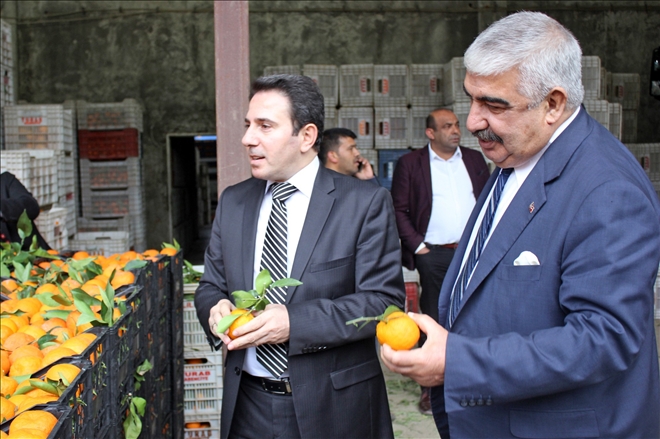 ADANA´DAN GÜVENLİK GÜÇLERİNE 25 TON PORTAKAL 