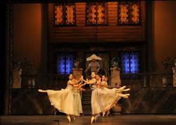  ‘´ÇALIKUŞU´´ BALESİ MERSİN´ DE