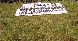 Suriye´ye kaçmaya çalışan 18 terörist ölü ele geçirildi