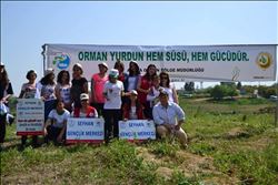 Seyhan Gençlik Merkezi "Genç Gönüllüler Ağaç Dikim Şenliği"Projesi