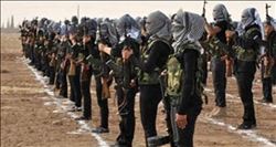 El Nusra, Halep yakınlarındaki kasabaları ele geçirdi