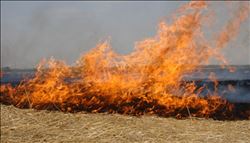 MİLLETVEKİLİ ÖZDİŞ´TEN ANIZ YAKIMLARI HAKKINDA SORU ÖNERGESİ