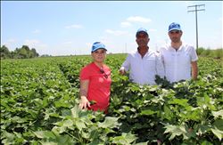 “Beyaz altın”da tehlike çanları