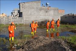 Büyükşehir´den Sivrisinek ve haşereyle mücadele