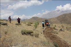 Pozantı´da ağaçlandırma çalışmaları