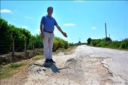 Yüreğir çiftçisi, köstebek yuvasına dönen yollardan dertli