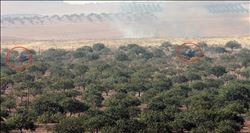 Mayınların temizlendiği bölgelere tanklar yönlendirildi