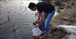 Adana´da göletlerde balıklandırma çalışmaları