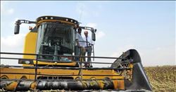 Adana´da Ayçiçeği Hasadı Yüz Güldürdü