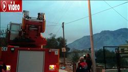  Köpekten kaçarken direğe çıkan kediyi itfaiye kurtardı