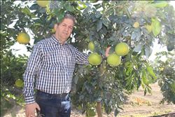 Son yağmurlar üreticinin yüzünü güldürdü